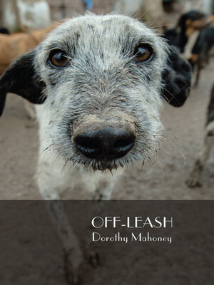 cover image of Off-Leash